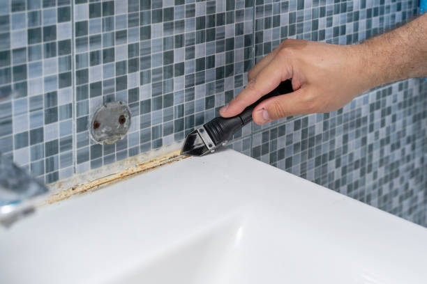 Best Home Mold Removal  in Clear Lake Shores, TX