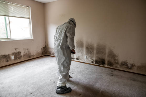 Crawl Space Mold Removal in Clear Lake Shores, TX